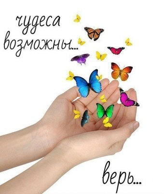 http://forum.sibmama.ru/usrpx/164949/164949_340x400_a9503bf4b472.jpg