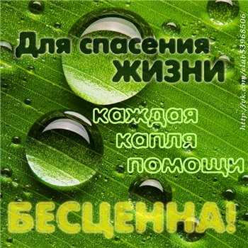 http://forum.sibmama.ru/usrpx/164949/164949_350x350_d1e3fb875019.jpg