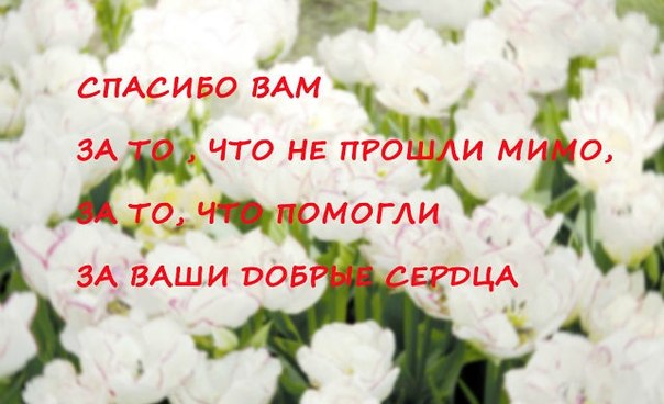 http://forum.sibmama.ru/usrpx/164949/164949_604x368_m1RUzDJkt4M0a5ebb9f.jpg