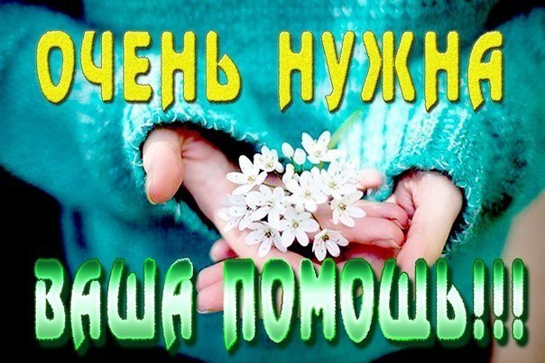 http://forum.sibmama.ru/usrpx/164949/164949_604x403_134803dc7a44ae.jpg