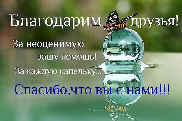 http://forum.sibmama.ru/usrpx/164949/164949_630x420_getImage.jpg