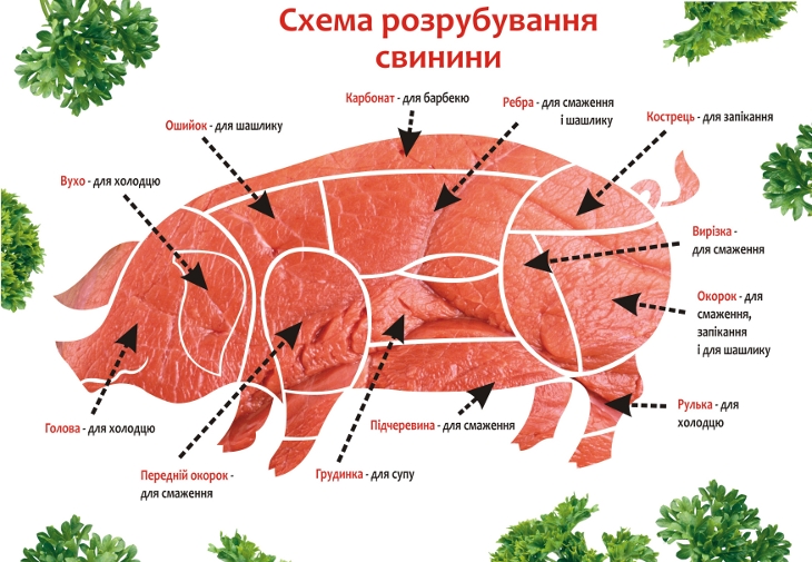 схема разделки свинины