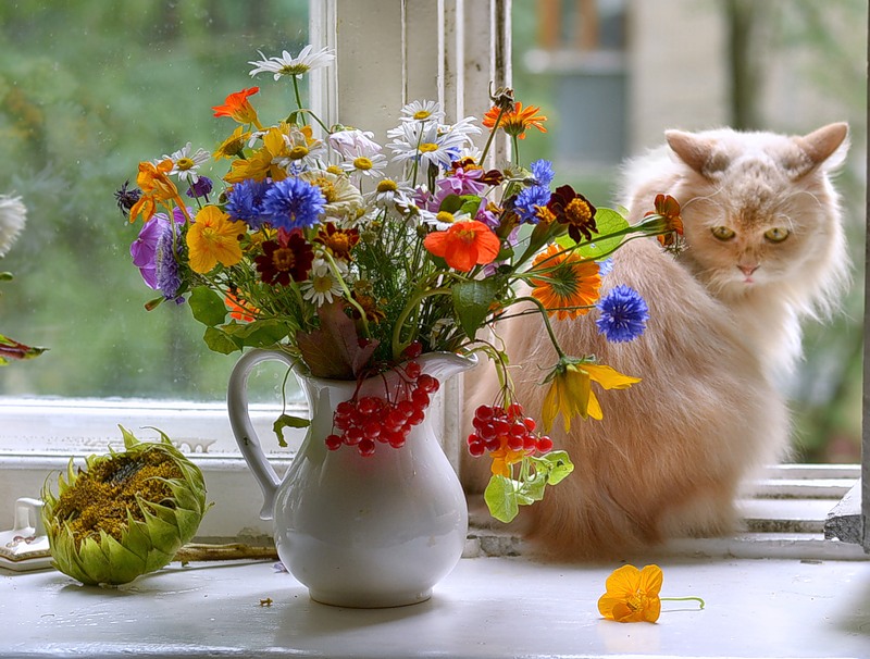 http://forum.sibmama.ru/usrpx/26275/26275_800x606__1.jpg