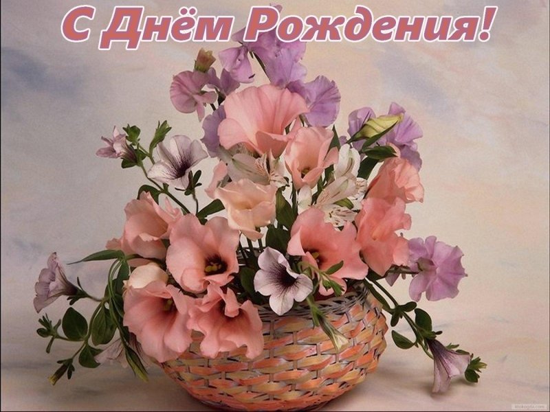 Изысканные поздравления с днем рождения