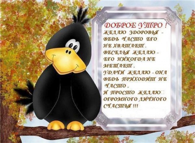http://forum.sibmama.ru/usrpx/37223/37223_640x470_bb9568735152276bfd98a824b2c00e88.jpg