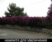 4085_t_604x453_x_2ed7f94b_1.jpg