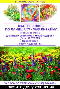 Мастер-класс по кондитерке Мастер-класс по кондитерке