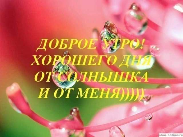 http://forum.sibmama.ru/usrpx/50139/50139_640x480__1.jpg