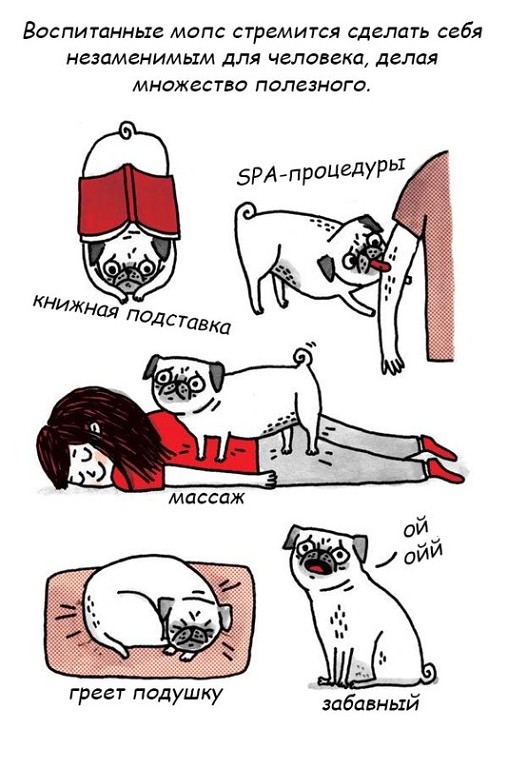 Стих про мопсика Стих про мопсика