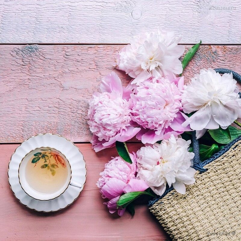 Пионы Кофе Фото — Mixyfotos.ru