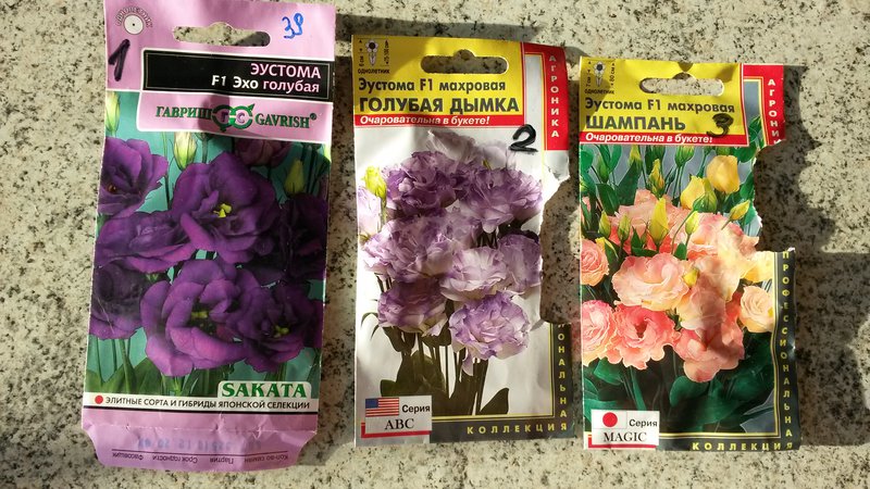 Семена Халапеньо Эустома Купить