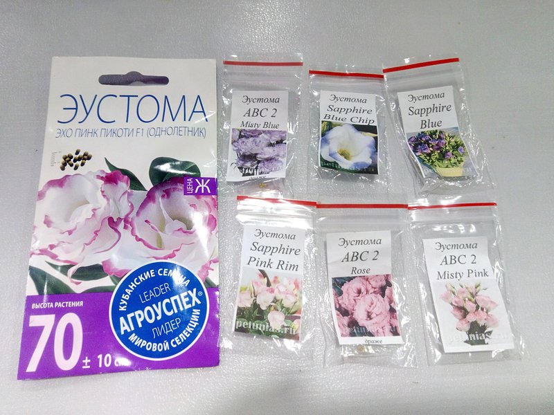 Эустома Мисти Блю