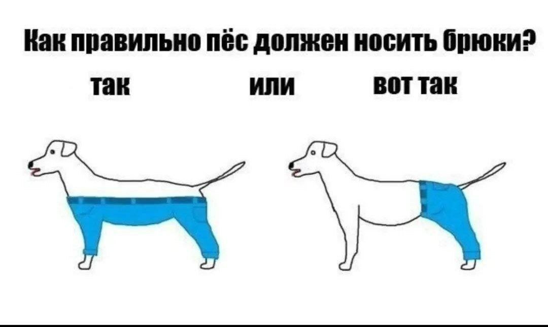 У меня уже 11. У меня уже 11