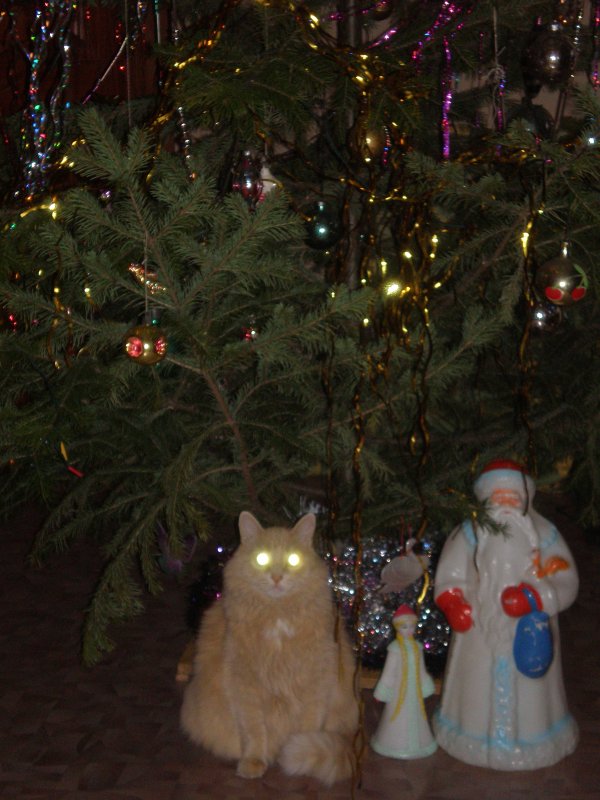 Сексапильная мамаша отдается двум сантаклаусам возле новогодней елки