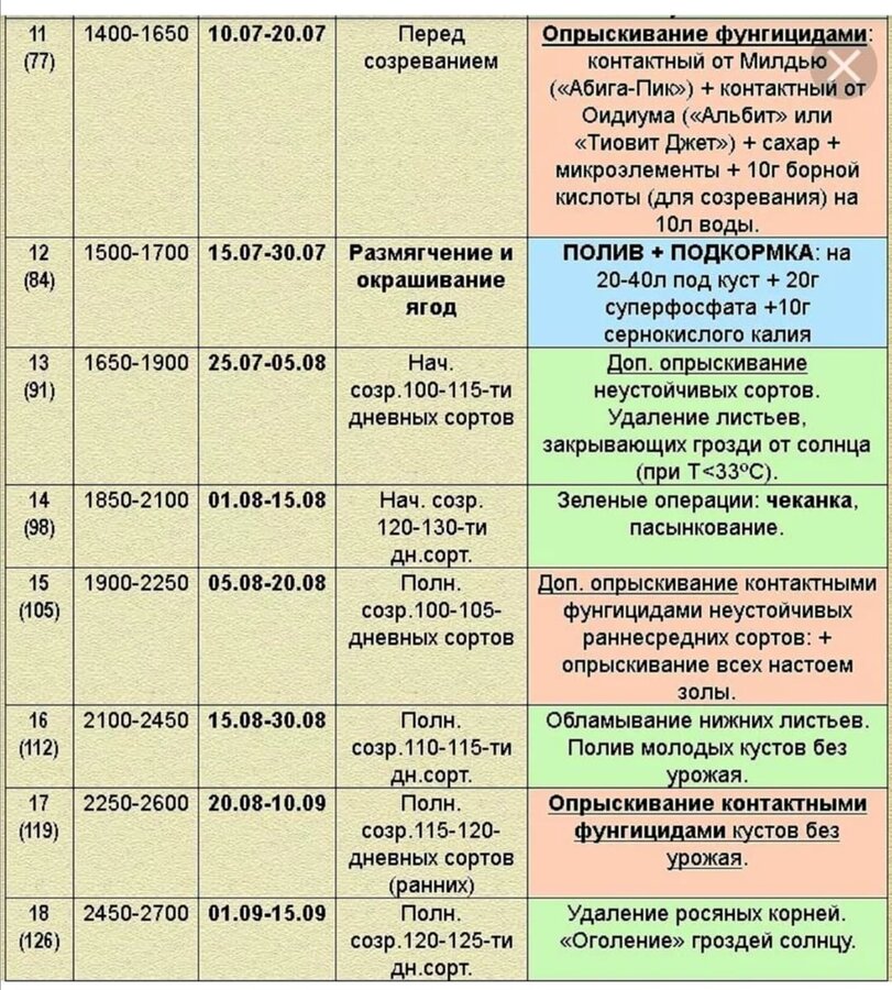 Обработка винограда осенью от болезней. Схема обработки винограда весной. Схема подкормок винограда удобрениями. Схема обработки винограда от вредителей. Схема удобрения винограда.