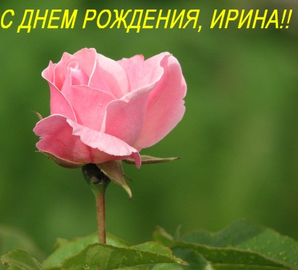Прикольные картинки с днем рождения ирина