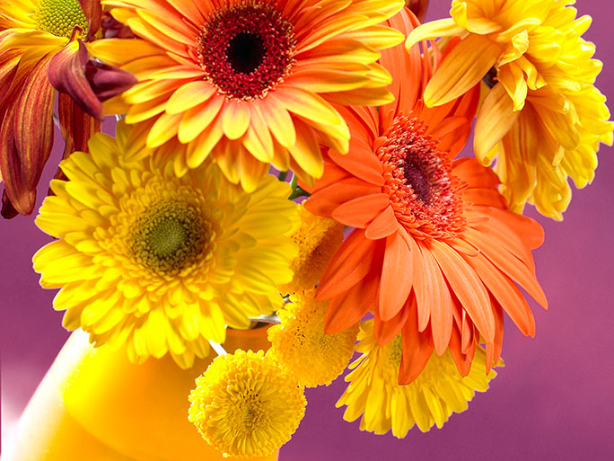 http://forum.sibmama.ru/usrpx/152889/152889_684x513_flowers108.jpg