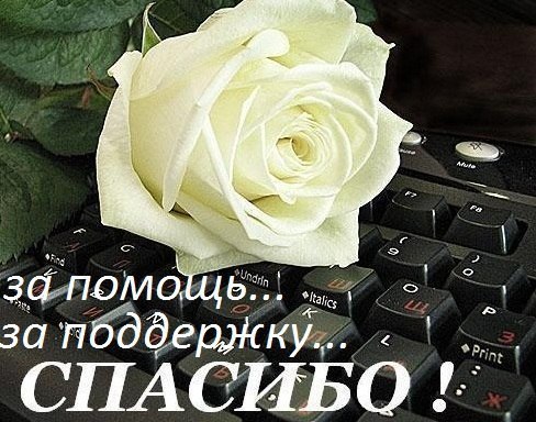 http://forum.sibmama.ru/usrpx/164949/164949_488x384_WjHKDCWMpz4.jpg