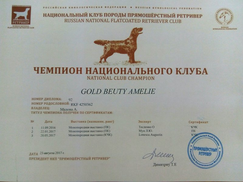 Выставка собак ркф. График выставок ркф. График выставок ркф. Классы на выставках собак по возрасту ркф. Выставка собак баннер.