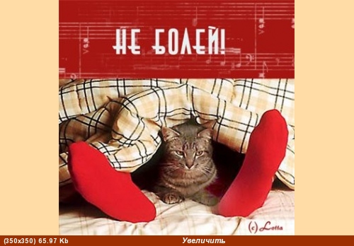 http://forum.sibmama.ru/usrpx/18602/18602_500x348_a31348799c5eb1ed6ceccc0c6a4c6b19_1.jpg