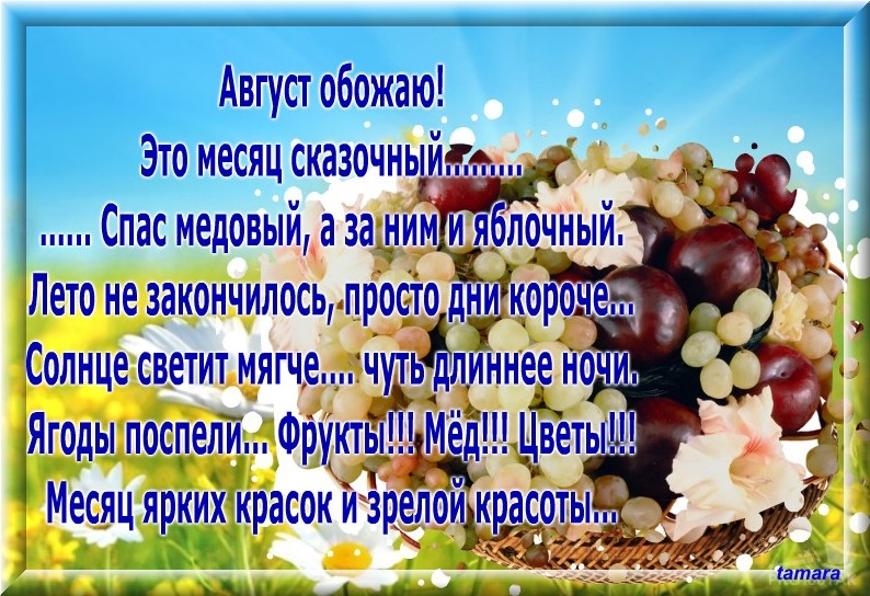 Обожаю август этот месяц сказочный. Кот на плоту. Быстрее спаси. Быстрее спаси. Август обожаю это месяц сказочный скоро спас медовый а за ним.
