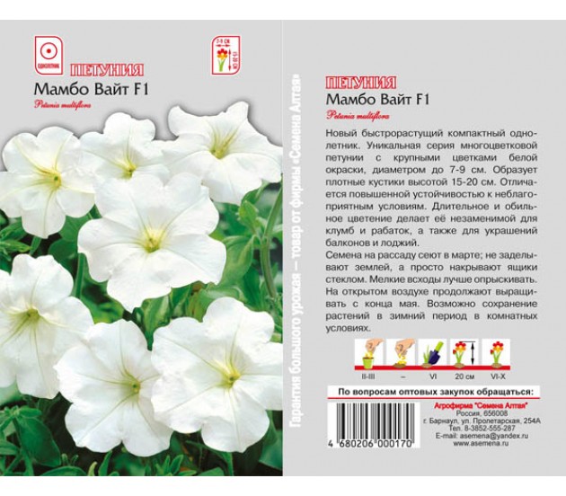 Петуния Мамбо Описание Фото Отзывы