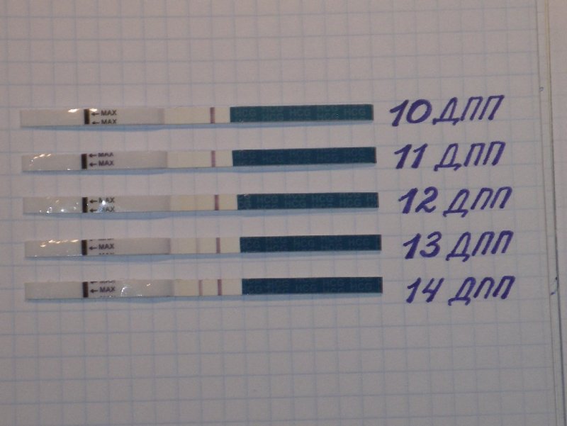 Сразу после эко. Тесты на беременность на 9 день после подсадки. Эко тесты на беременность после переноса эмбриона. Тест на беременность 10 дней после подсадки эмбрионов. Тест на 10 день после переноса.