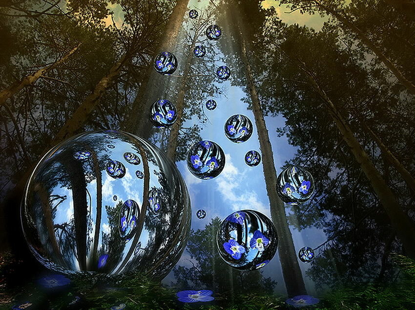 Зеркальная симметрия в природе. Женские глаза на фоне моря. Мир в капле. Горы отражение в воде. Отражение в воде.