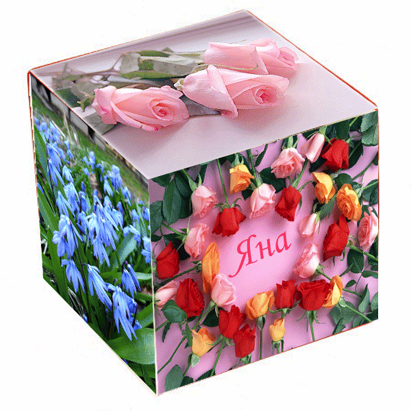 С днем рождения яночке картинки красивые. Коробки для цветов. Цветы в коробке сюрприз. Открытка с днём рождения в коробке.