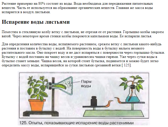 Почему в описанном опыте. Опыт доказывающий испарение воды листьями. Опыт испарение воды растениями. Опыт показывающий испарение воды растениями. Эксперименты с растениями.