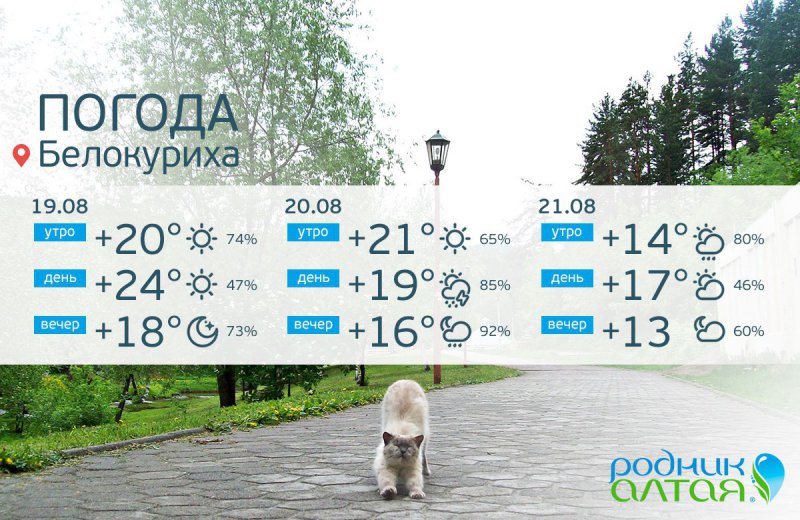 Белокуриха климат. Погода в белокурихе на 10 дней. Прогноз на неделю белокуриха. Прогноз на неделю белокуриха. Прогноз на неделю белокуриха.