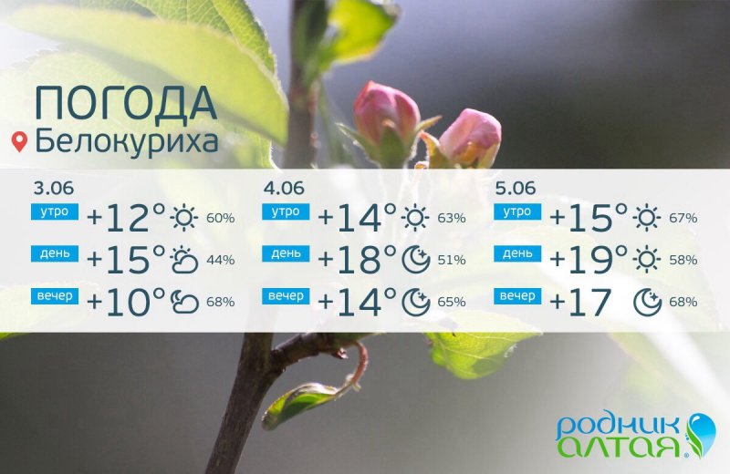 Погода на алтае на месяц гисметео. Погода в Белокурихе. Белокуриха климат. Белокуриха Алтай погода.