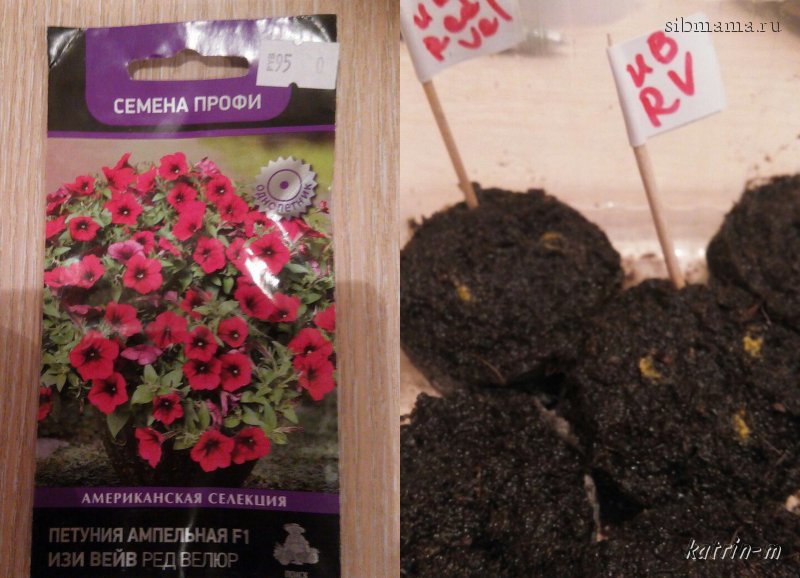 Семена Купить Поиск Профи
