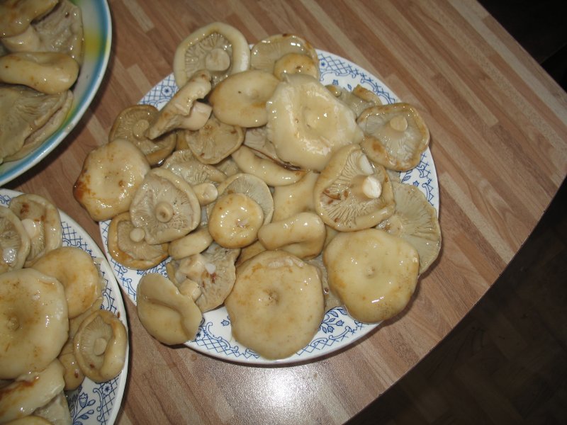 Начинка из соленых грибов