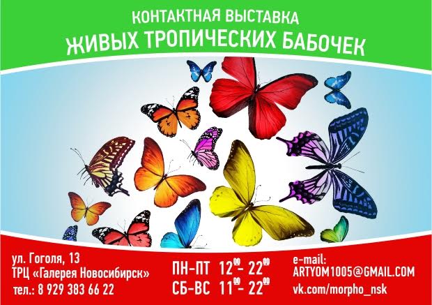 Выставка Бабочек Барнаул 2025 Арена Цена Билета
