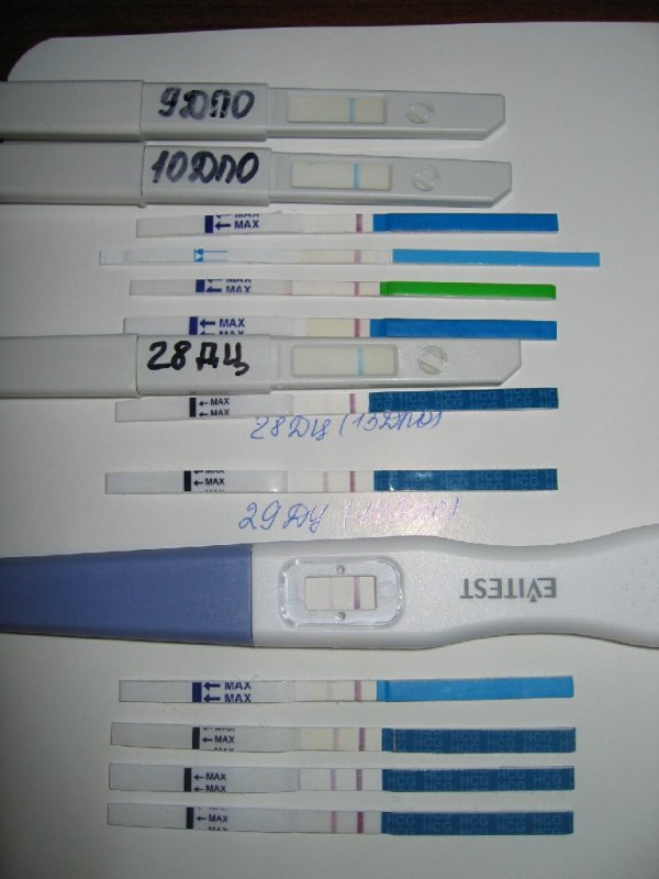 Можно ли тест делать до задержки месячных. Тест на беременность 1 и на 2 день задержки. Тест на беременность на 4 день задержки показывает беременность. Тест на беременность 1 день до задержки. В 1 день задержки тест покажет беременность.