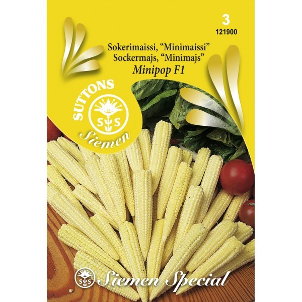 Семена Ноа Кукурузы Купить
