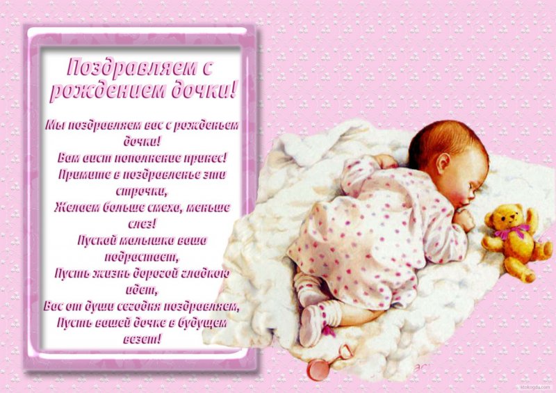 Красивые розы - фото цветов и картинки розы на снегу 12 Красивые розы - фото цветов и картинки розы на снегу 31