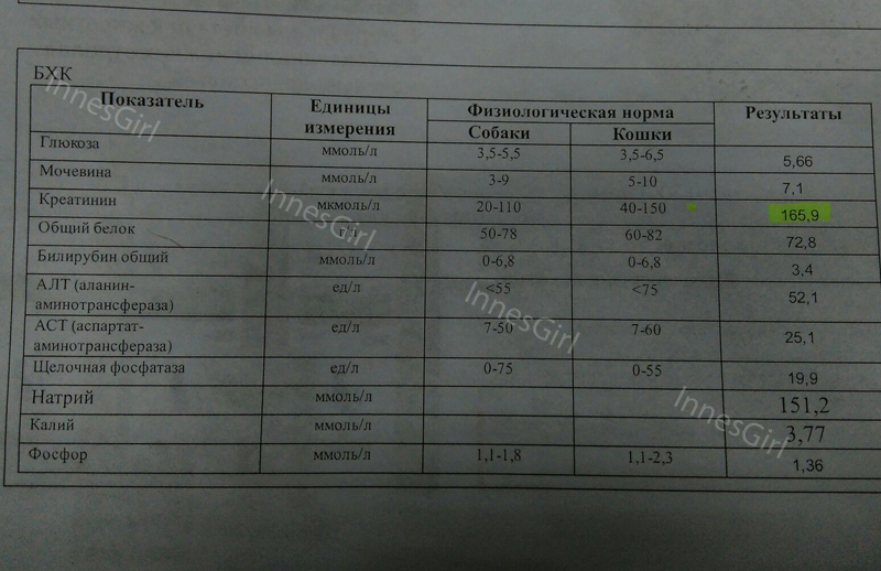 расшифровка анализов мочевина