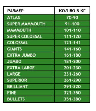маслины размер крупные. вяленые маслины кумалата. маслины этикетка. калибр маслин 2xs. калибр оливок 3xs.