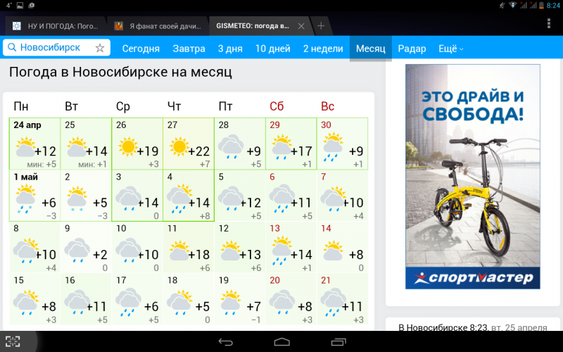 Гисметео верхнеяркеево на месяц. Погода в Новосибирске. Погода в Новосибирске на месяц. Погода на 2 месяца Новосибирск. Погода в Новосибирске сегодня.