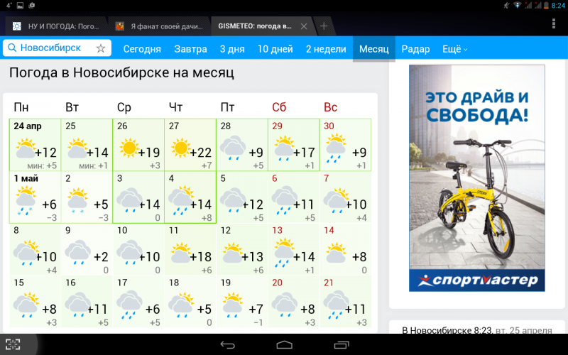 Погода петропавловской гисметео алтайский край. Погода в Новосибирске. Погода в Новосибирске на месяц. Погода на 2 месяца Новосибирск. Погода в Новосибирске сегодня.