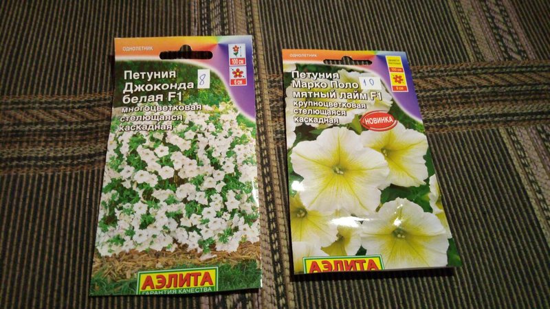 Петуния джоконда описание сорта фото