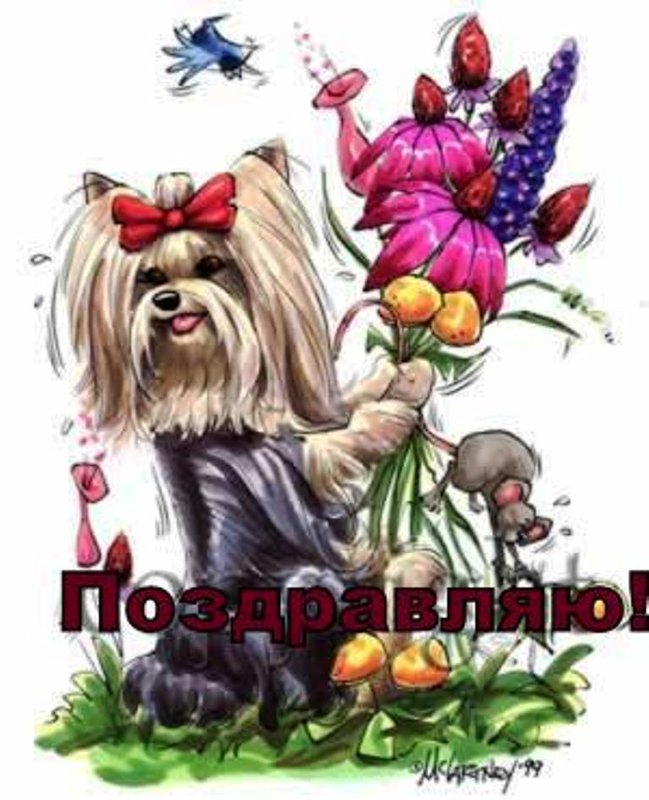 Четвергом, открытка с йорком поздравление с днем рождения