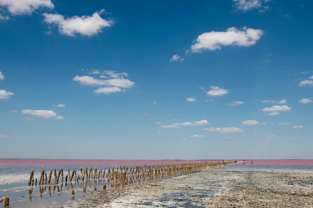 Розовое озеро сасык сиваш. Сасык Сивашское озеро. Озеро Сиваш в Крыму. Солёное озеро Сасык-Сиваш. Сасык-Сиваш Евпатория.