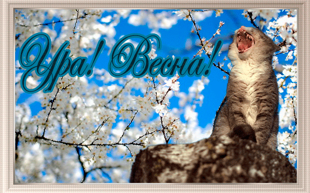 http://forum.sibmama.ru/usrpx/45647/45647_610x381_110815086_large_1601407000287f6d5129f4c7.gif