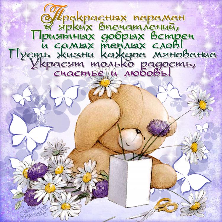 Про котят, открытки на день рождения для молодой девушки