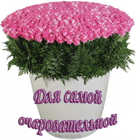 http://forum.sibmama.ru/usrpx/57463/57463_450x452_5f176bf5108e_1.gif