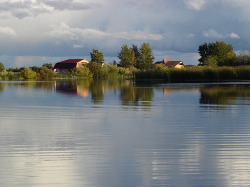 Купить озеро новосибирск. Озеро Васюхино в Коченево. База у озера Новосибирск. Озеро Коченево Новосибирская. Кафе у озера Коченево.