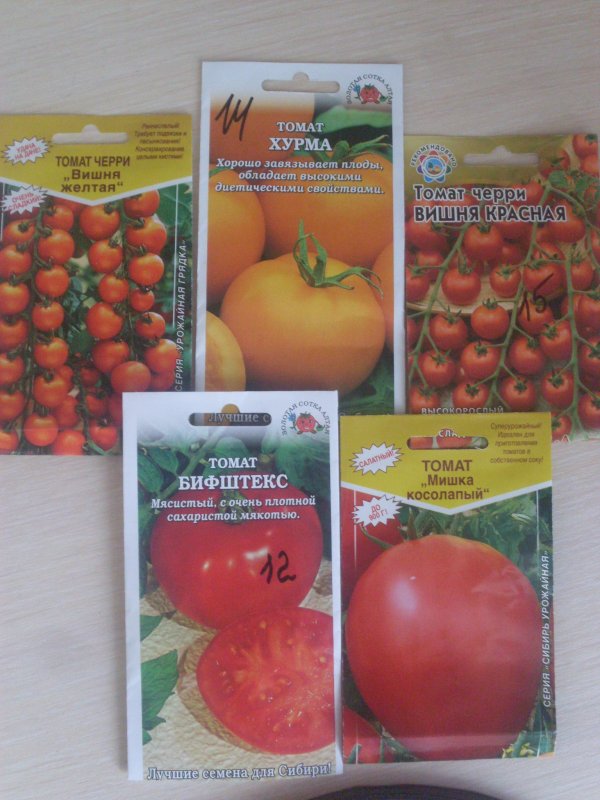 Мишка косолапый сорт помидор. Мишка косолапый томат описание. Томат мишка косолапый розовый. Мишка косолапый сорт томатов. Сорт мишка косолапый.